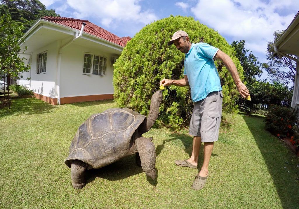 Ixora Villa Anse Royale Exteriér fotografie